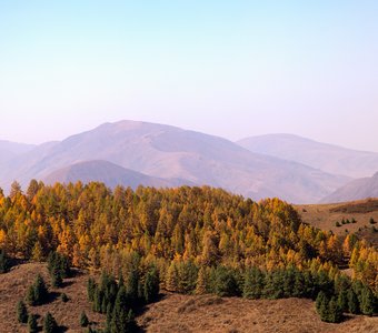 Аккорды осени