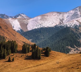 Осень в урочище Чон-Кемин