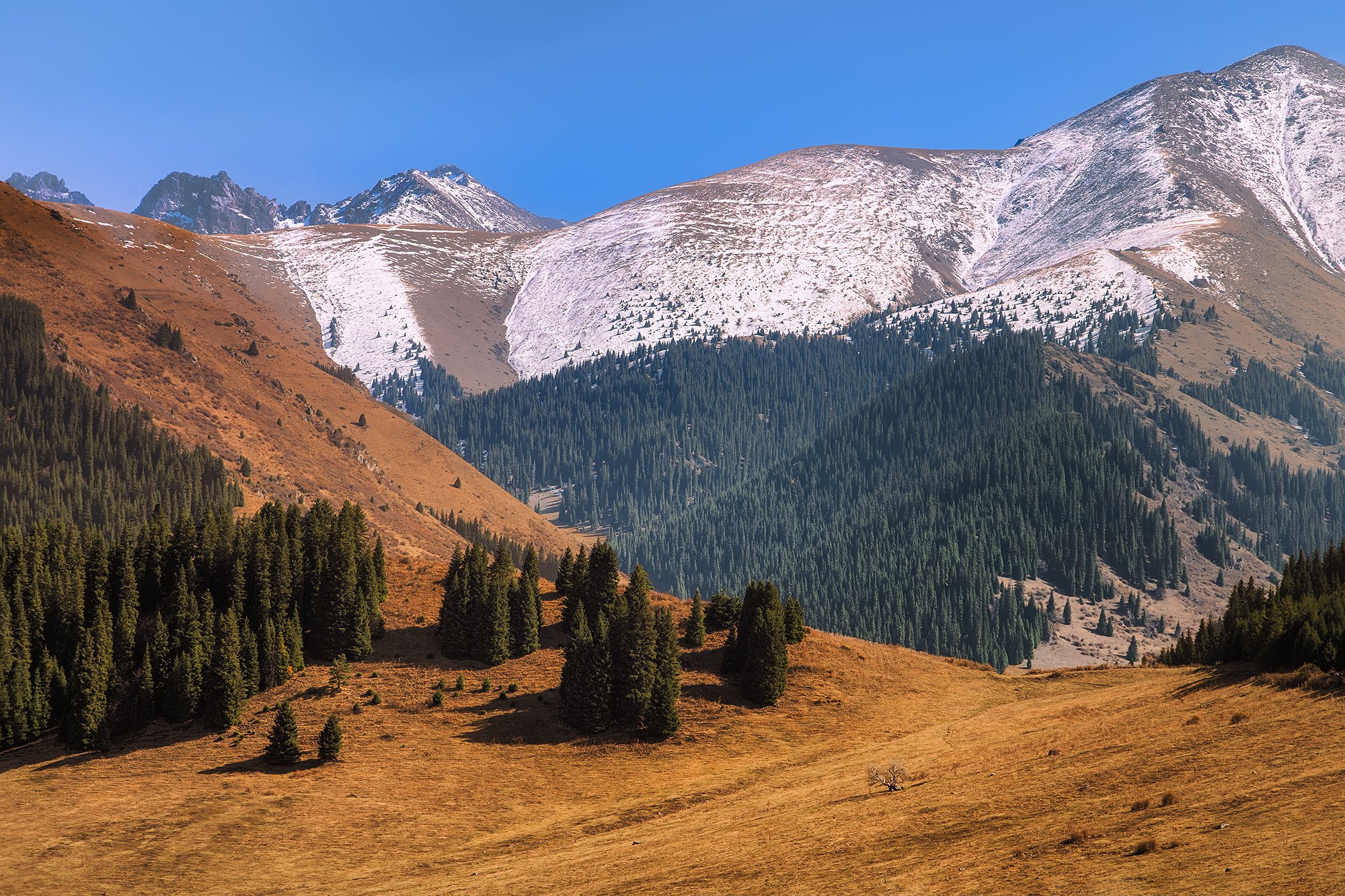 Горы Кыргызстана