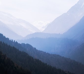 Горизонты цвета