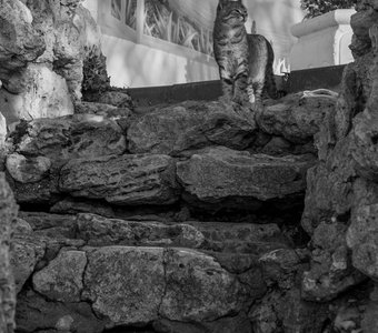 Мой город у моря