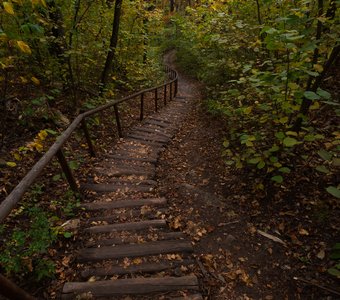 Тропа к роднику