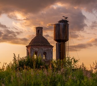 Гнездо аистов