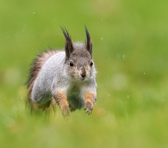На всех парусах