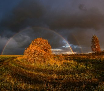 Осенняя палитра
