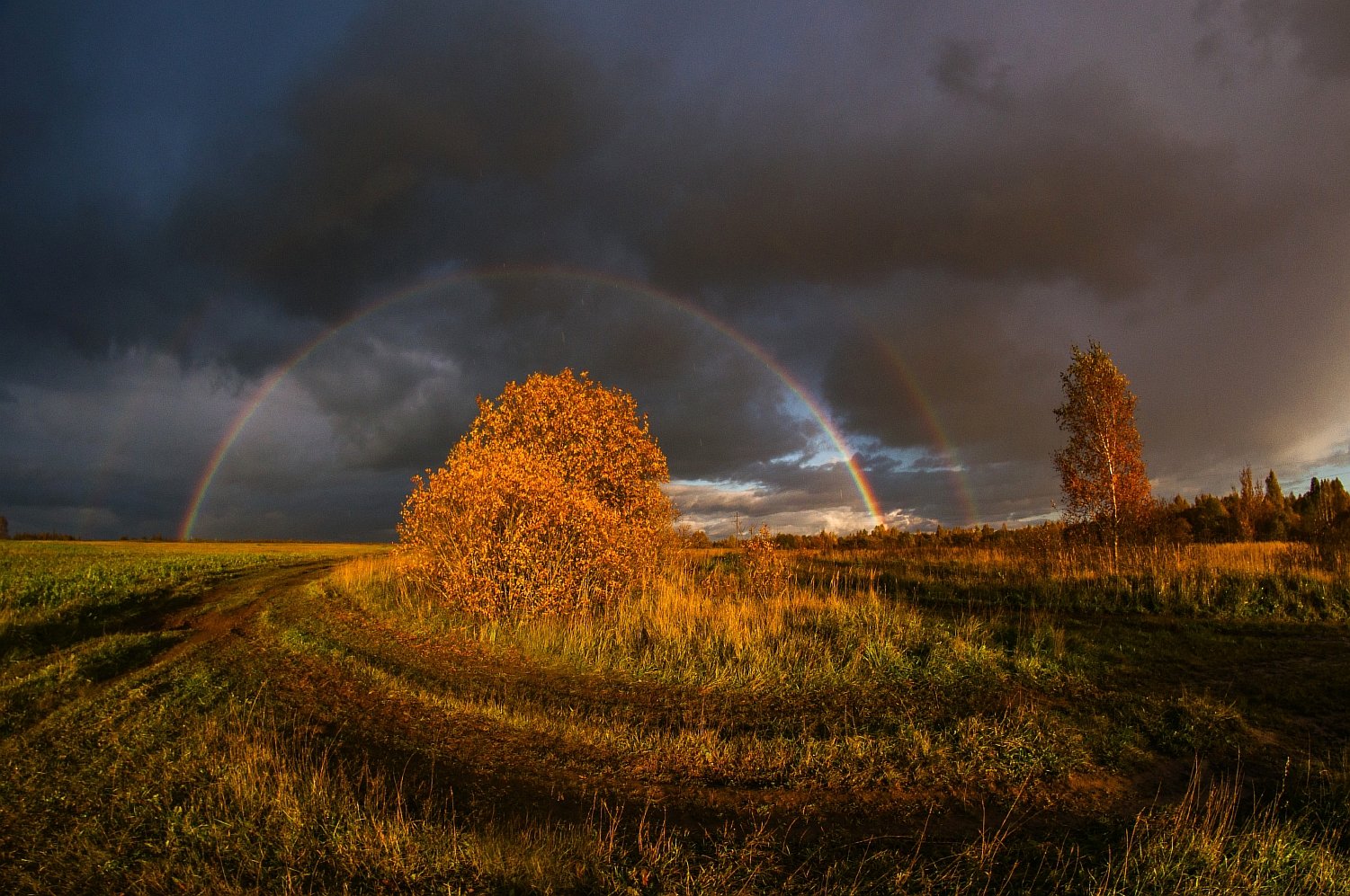 Осенняя палитра