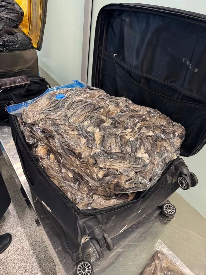 Фото: ФТС России