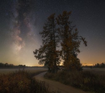 Стражи дорог