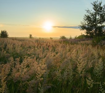 Степной рассвет