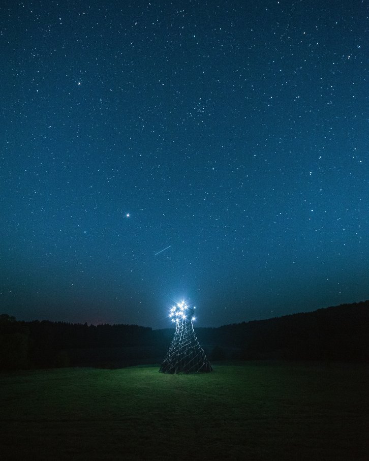 Фото: Андрей Белавин