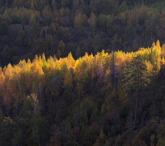 Осень средней полосы