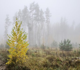 Словно мираж