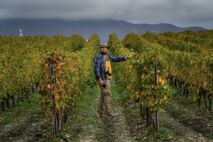 Гостиницы на виноградниках: Госдума поддержала законопроект