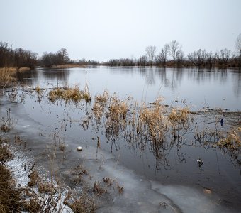Енисей, устье Есауловки. Красноярский край
