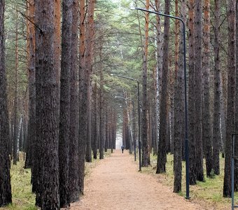 Парк у Сосновоборска, Красноярский край