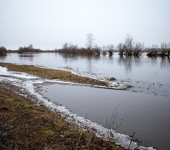 Енисей, устье Есауловки. Красноярский край