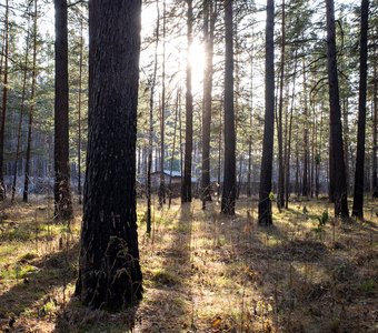 Парк у Сосновоборска, Красноярский край