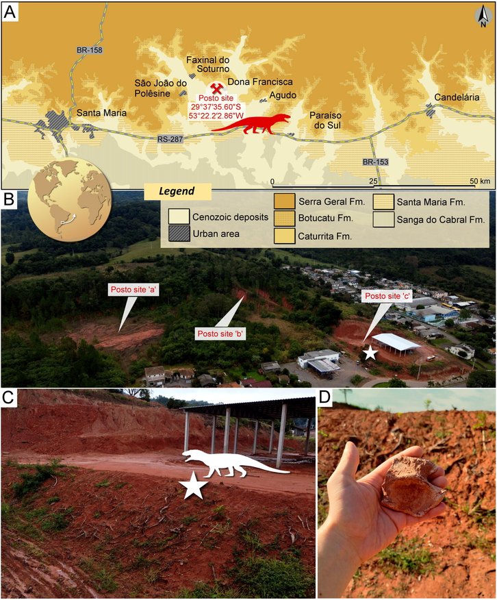 Фото: Caio Fantini / Journal of Systematic Palaeontology