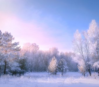 Морозное утро