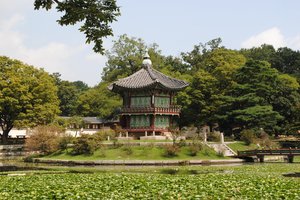 Китайские туристы осквернили достопримечательность Сеула