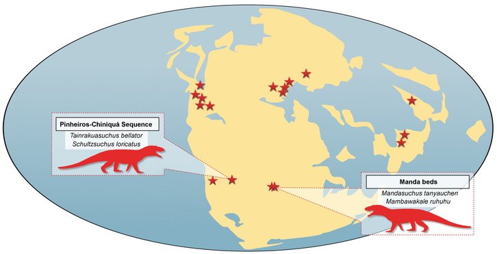 Фото: Caio Fantini / Journal of Systematic Palaeontology