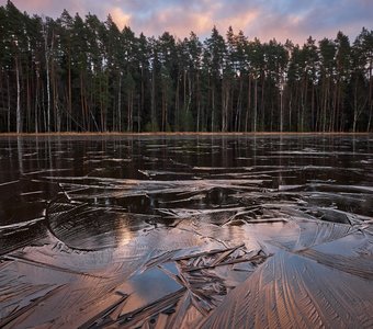Первый лёд на лесном озере