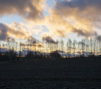 Деревня Новое Сырокоренье
