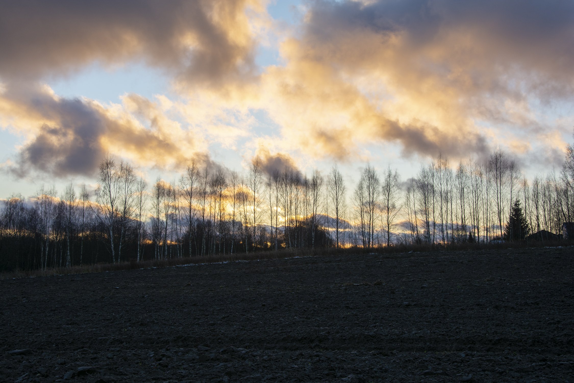 Деревня Новое Сырокоренье