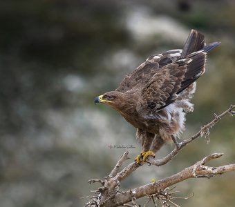Во всей красе