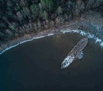 На краю леса