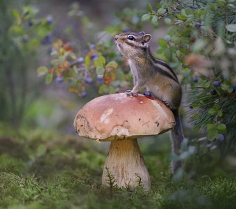 Мой и только мой!