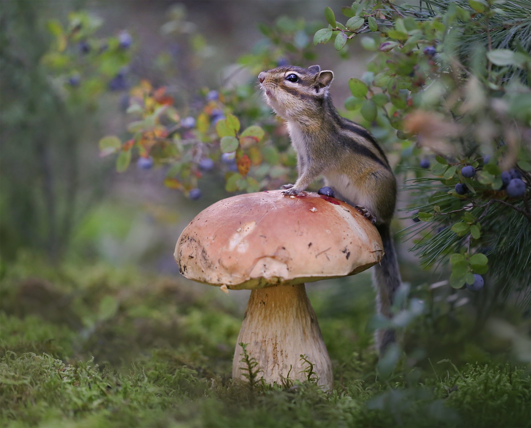 Мой и только мой!