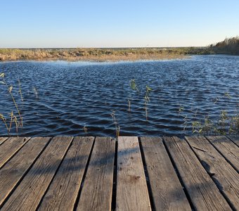 Рябь Куршского залива