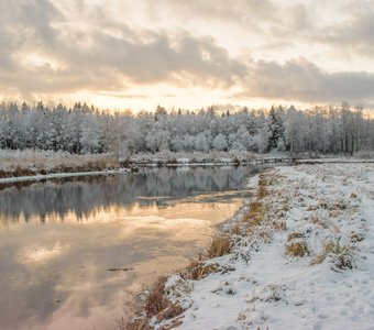 Красота природы в парке «Зверинец». Река Тёплая (Гатчинка).