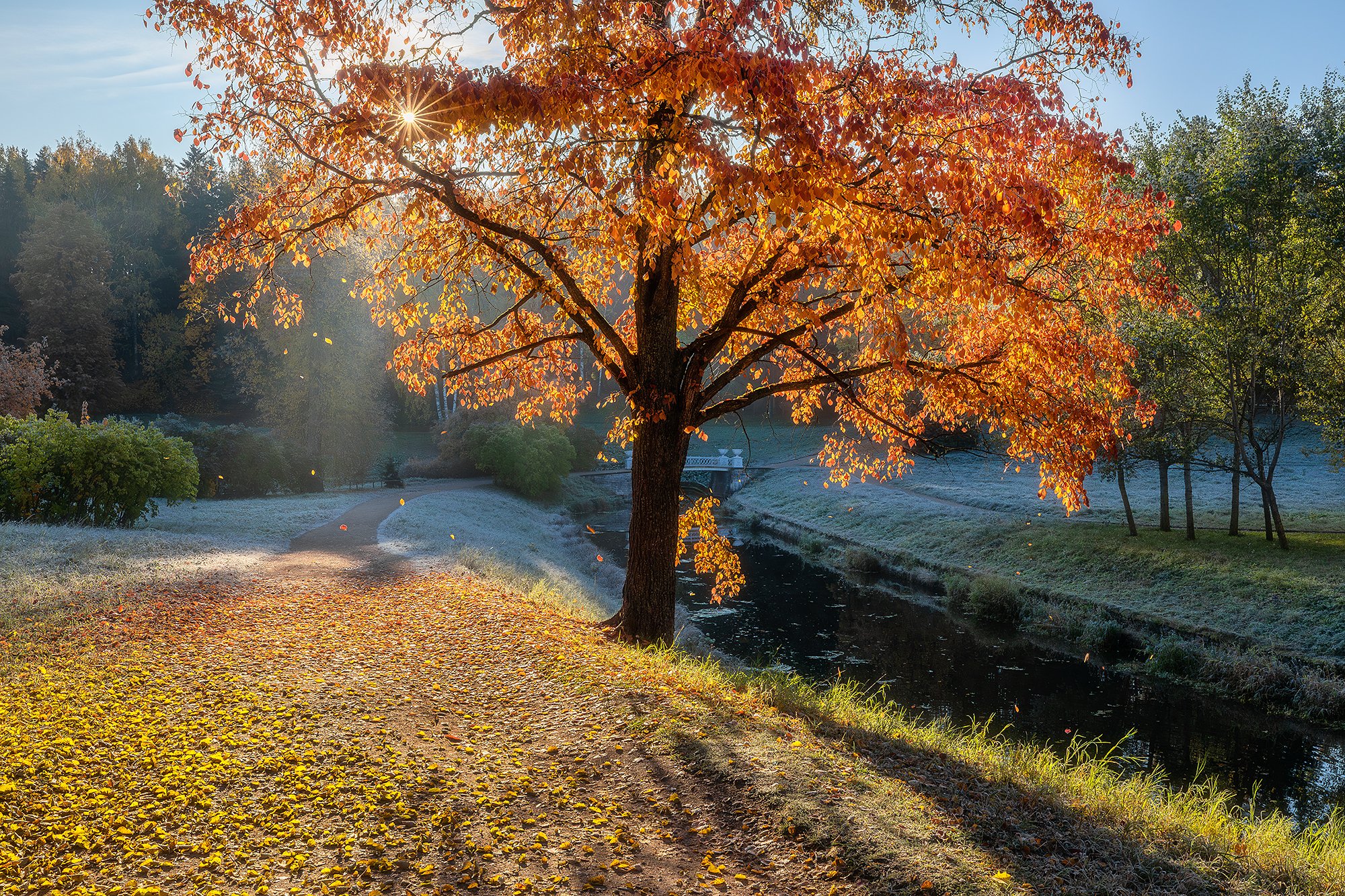 В гостях у яркой осени