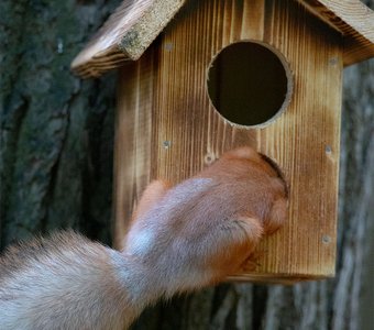 Эй, кто-нибудь дома?