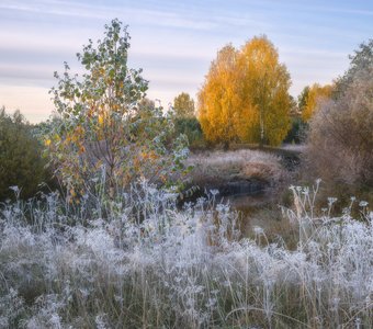 Морозное украшение осеннего утра