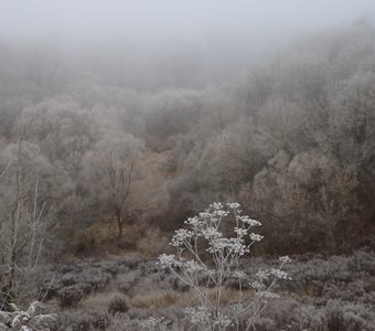 Овраг Верхний судок, Брянск