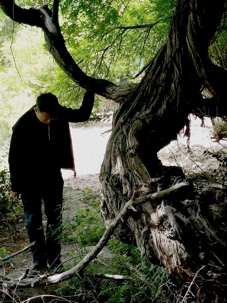 Фото: Guinnessworldrecords.com