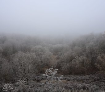 Овраг Верхний судок, Брянск