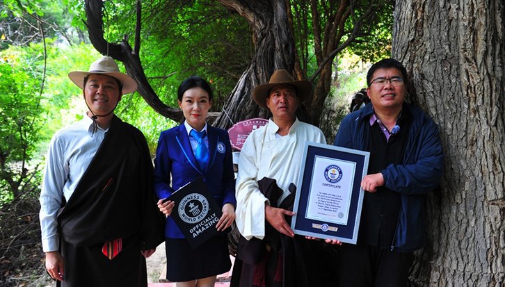 Фото: Guinnessworldrecords.com