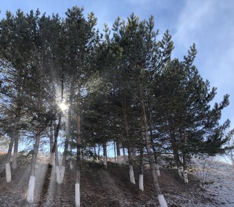 лучи солнца , Кезеной-ам