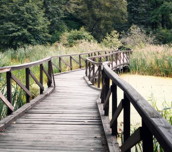 По дорожке заповедной