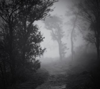 Туманными тропками