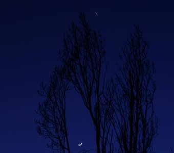 луна и звезда