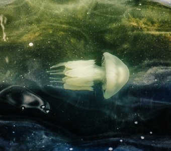 Портрет Корнерота