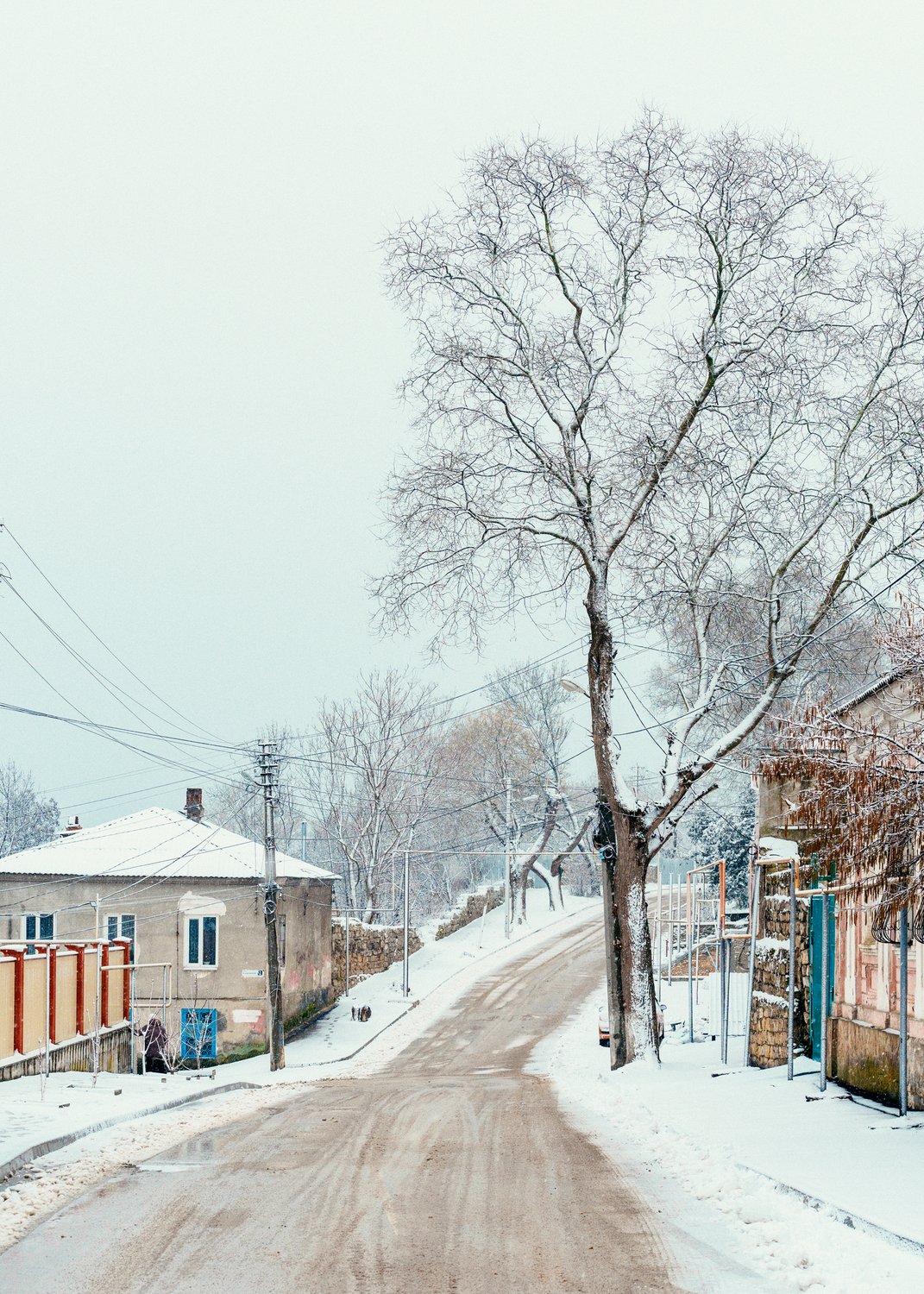 Зима на юге