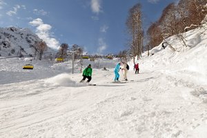 Какие авиакомпании перевозят лыжи и сноуборды бесплатно?