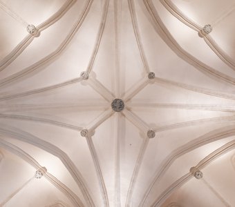 Звёздчатый свод