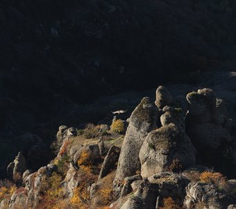 Полёт над Долиной привидений